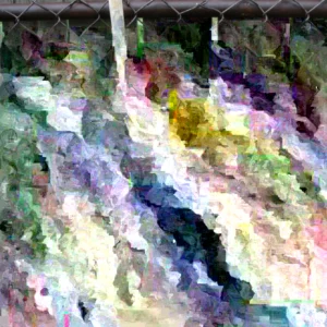 Tiny Tim Micro Dwarf Tomato Seeds - 20 Seeds - Red Tomatoes for Patio & Small Gardens - Image 3