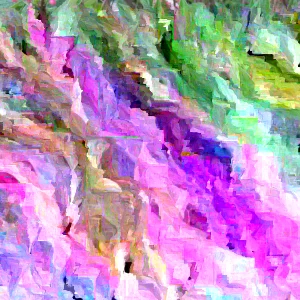 Mohawk Viburnum Live Plant - Viburnum × burkwoodii 'Mohawk' - 24-36 Inches Tall - Outdoor Deciduous Shrub - Image 1