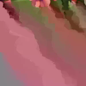 Eastern Redbud Tree Live Plant - Cercis canadensis - 16-24 Inches Tall - 1-2 Year Old - Image 2